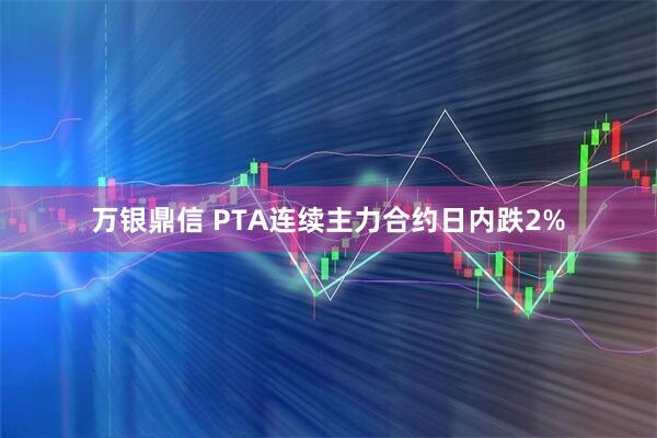 万银鼎信 PTA连续主力合约日内跌2%
