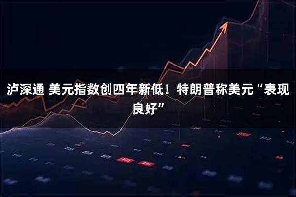 泸深通 美元指数创四年新低！特朗普称美元“表现良好”