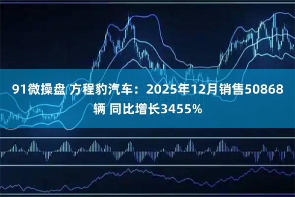 91微操盘 方程豹汽车：2025年12月销售50868辆 同比增长3455%