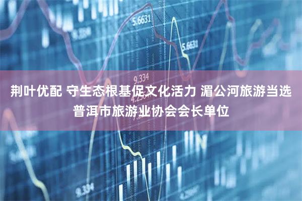 荆叶优配 守生态根基促文化活力 湄公河旅游当选普洱市旅游业协会会长单位